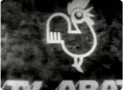 Imagem Show